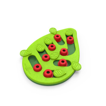 https://charly.si/uploads/products/38ec781c-0884-44e6-8a8c-a53fc873127d/small/nina-ottosson-puzzle-a-play-buggin-out---interaktivna-igraca-za-macko6.jpg