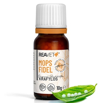 https://charly.si/uploads/products/5a7fe4e2-539c-4092-8372-25f4436cfbc1/small/reavet+-bio-bachove-cvetne-kroglice---proti-utrujenosti-in-brezvoljnosti.jpg