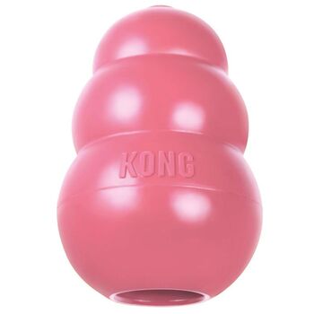 https://charly.si/uploads/products/67489333-88cf-48ec-af8a-707bd37b1fbb/small/kong-puppy---igraca-za-pasje-mladice---roza.jpg