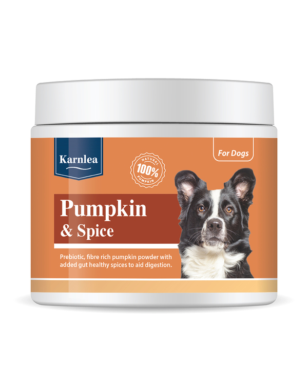 karnlea pumpkin a spice powder - dopolnilo za podporo prebavi