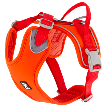 https://charly.si/uploads/products/c8837bbd-5cc1-4040-a08d-ae4692646647/small/hurtta-weekend-warrior-harness-eco---oprsnica-za-psa---rdeca6.png