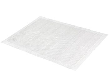 https://charly.si/uploads/products/ca92b62b-8c14-4a6c-a121-871a178de41e/small/maelson-doggie-pad-90---plenicne-podloge-za-pse.jpg