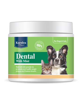 https://charly.si/uploads/products/d6deb9d0-0333-4536-93d1-7a525c9c29e9/small/karnlea-dental-with-mint---dopolnilo-za-zdrave-zobe-in-dlesni.jpg