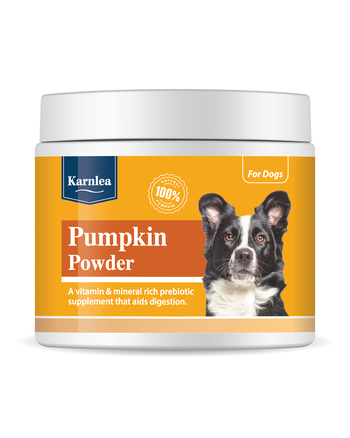 https://charly.si/uploads/products/f0e5f588-c337-4d79-9d6a-d63c44548808/small/karnlea-pumpkin-powder---dopolnilo-za-podporo-prebavi.jpg